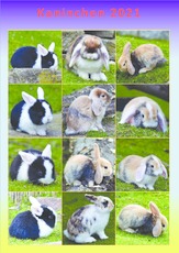 Kaninchen_Kalender_2021_1.pdf